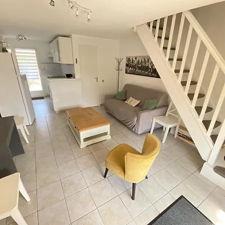 Semesterbostad Pavillon 6 Pers Avec Piscine, Clim, Terrasses Et Parking Prive - Fr-1-781-72